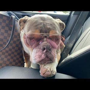 Meet your Posher, Sophia